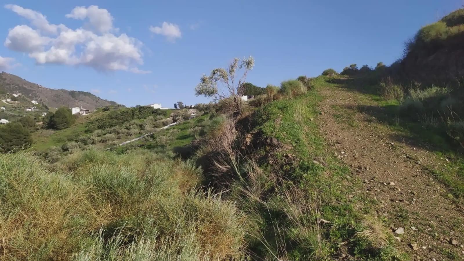 Terreno/Finca Rústica en Frigiliana en venta - 246.000 € (Ref: 9743972)