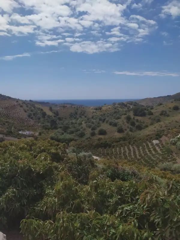 Undeveloped Land for sale in Frigiliana - € 149,200 (Ref: 9827972)