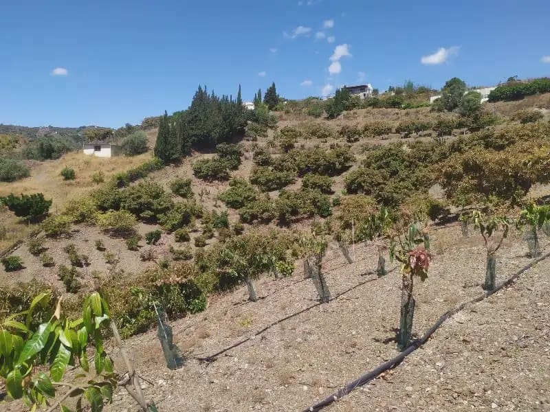 Undeveloped Land for sale in Frigiliana - € 149,200 (Ref: 9827972)
