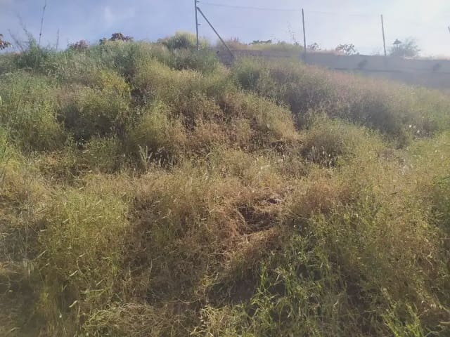 Area Edificabile in vendita in Iznate - 59.900 € (Rif: 9844044)