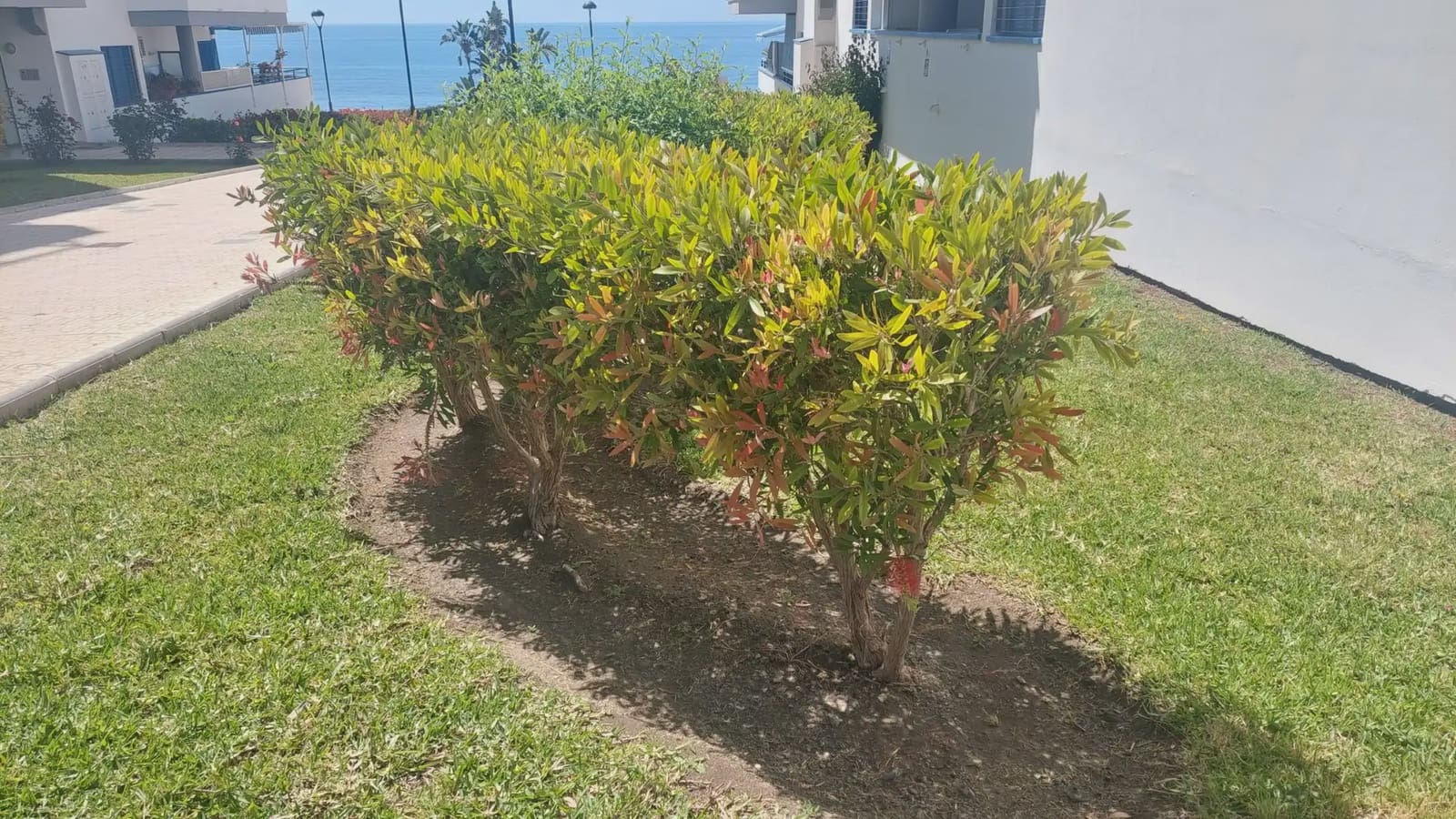 3 bedroom Beach Apartment for sale in Torrox - € 420,000 (Ref: 9860702)