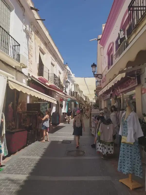 Commercial for rent in Nerja - € 3,700 (Ref: 9928245)