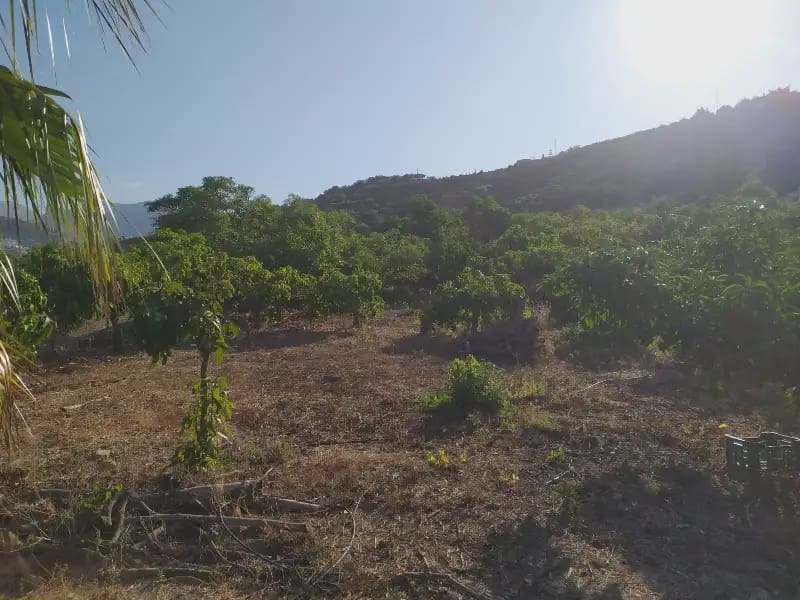 Terreno Non Edificato in vendita in Frigiliana - 155.000 € (Rif: 9940746)