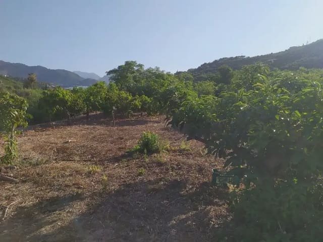 Terreno Non Edificato in vendita in Frigiliana - 155.000 € (Rif: 9940746)