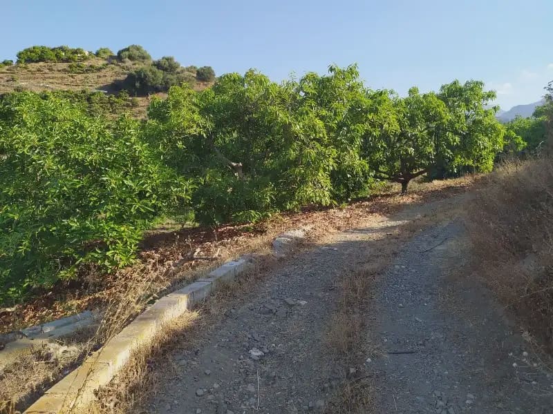 Terreno Non Edificato in vendita in Frigiliana - 155.000 € (Rif: 9940746)
