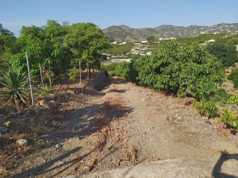 Terreno Non Edificato in vendita in Frigiliana - 155.000 € (Rif: 9940746)