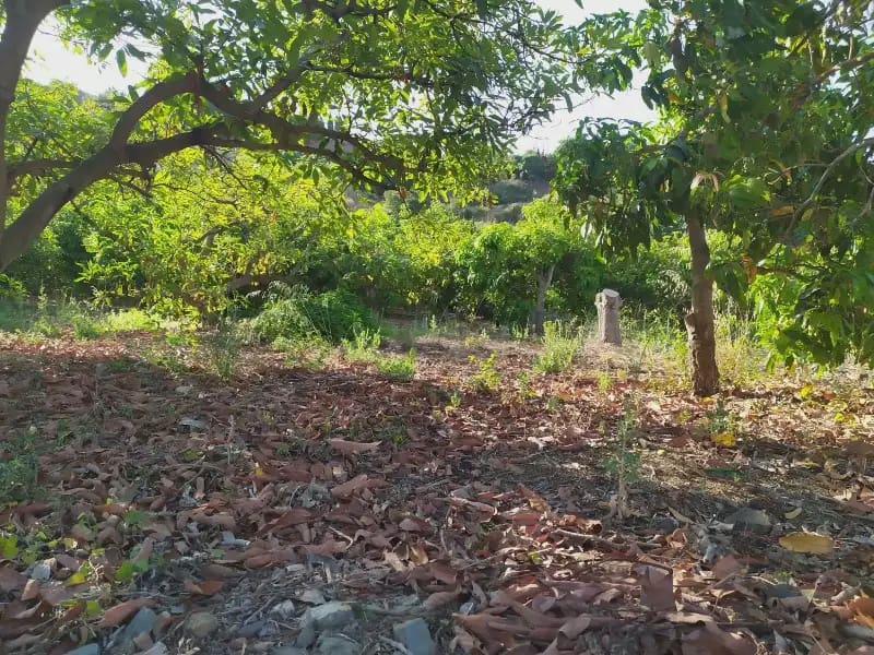 Terreno Non Edificato in vendita in Frigiliana - 155.000 € (Rif: 9940746)