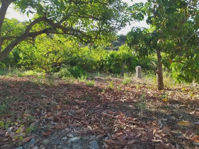 Terreno Non Edificato in vendita in Frigiliana - 155.000 € (Rif: 9940746)