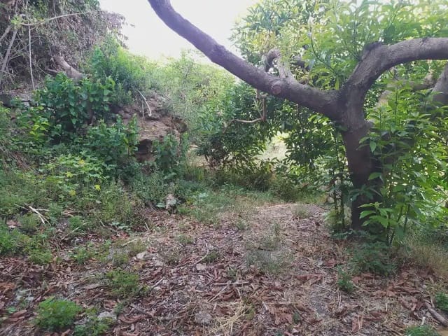 Terreno Non Edificato in vendita in Frigiliana - 155.000 € (Rif: 9940746)