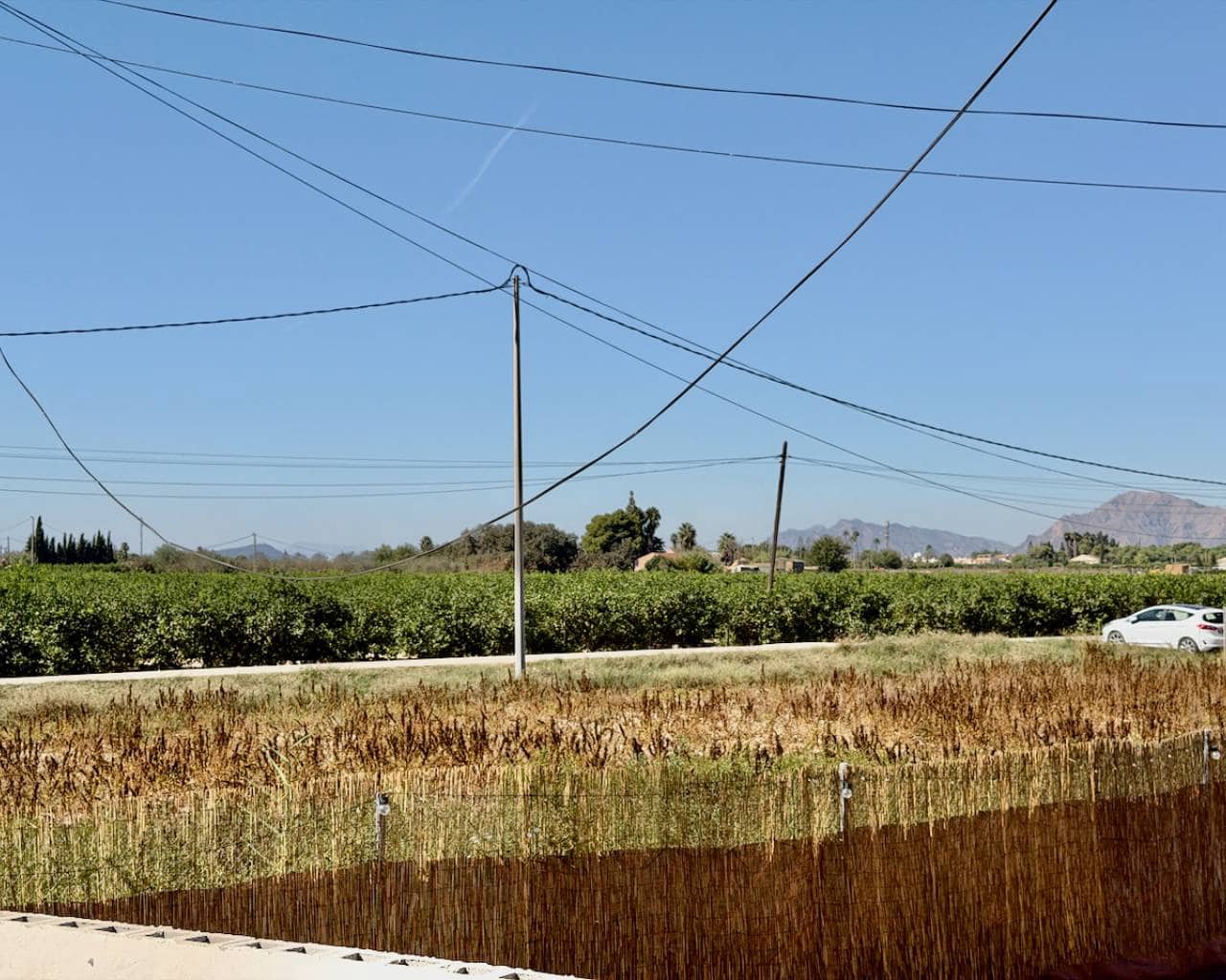 Finca/Casa Rural de 3 habitaciones en Dolores en venta con garaje - 299.995 € (Ref: 10099670)
