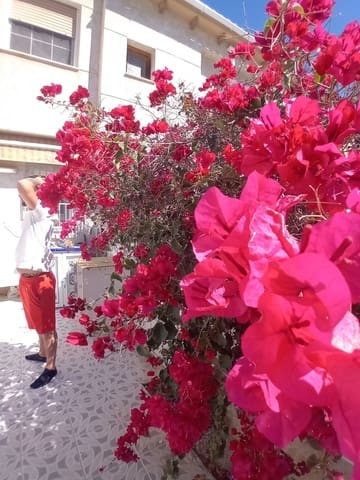 2 quarto Casa em Banda para venda em La Mata, Torrevieja com piscina - 199 000 € (Ref: 8905380)