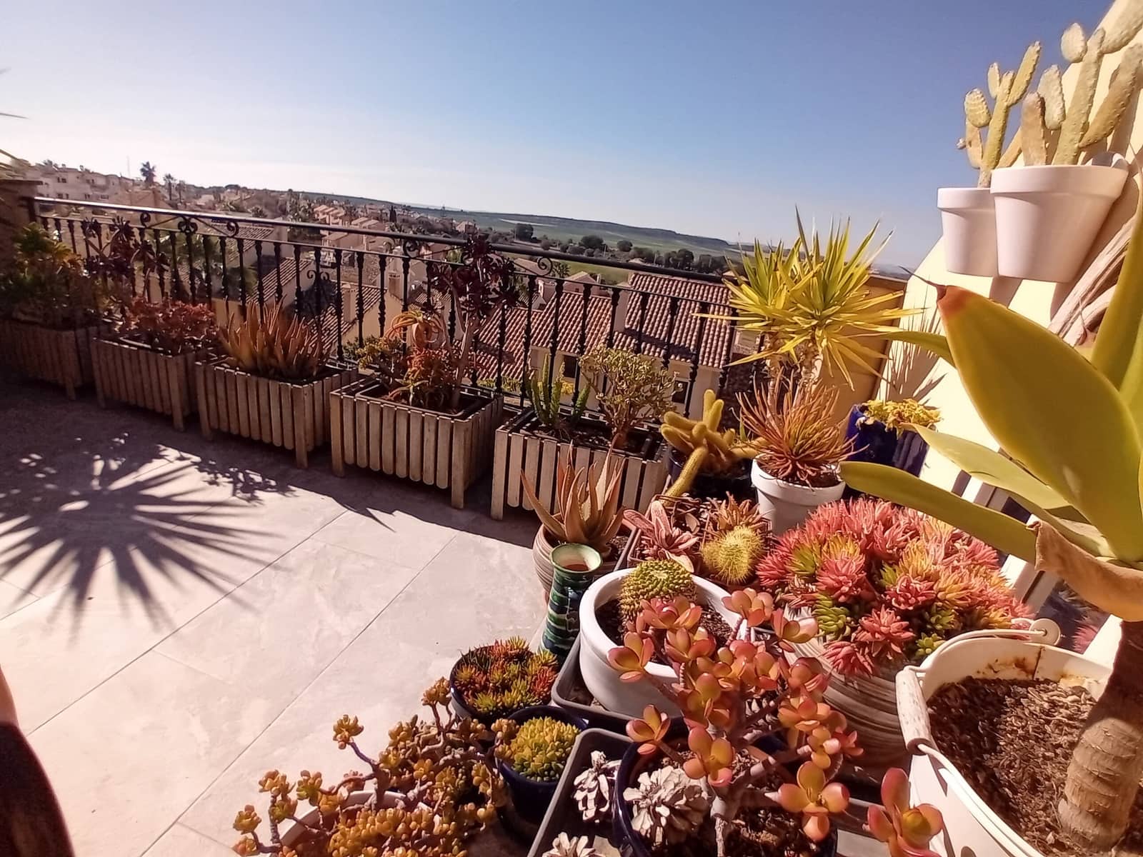 Casa de 2 habitaciones en Algorfa en venta con piscina - 285.000 € (Ref: 9634374)