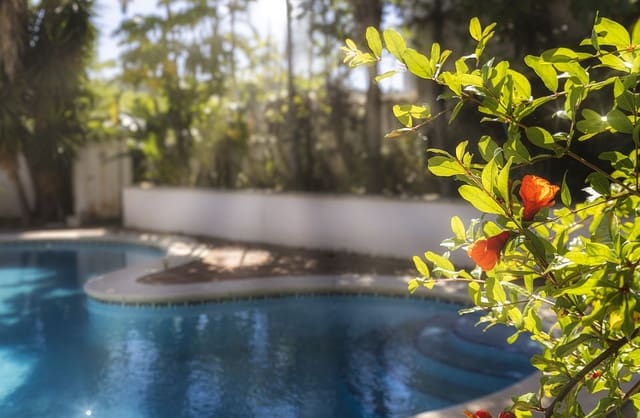 6 bedroom Villa for sale in Benahavís with pool garage - € 1,750,000 (Ref: 9176063)