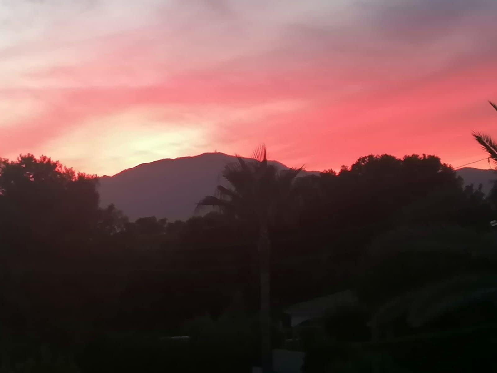 1 bedroom Apartment for sale in El Paraiso - € 249,500 (Ref: 9402893)