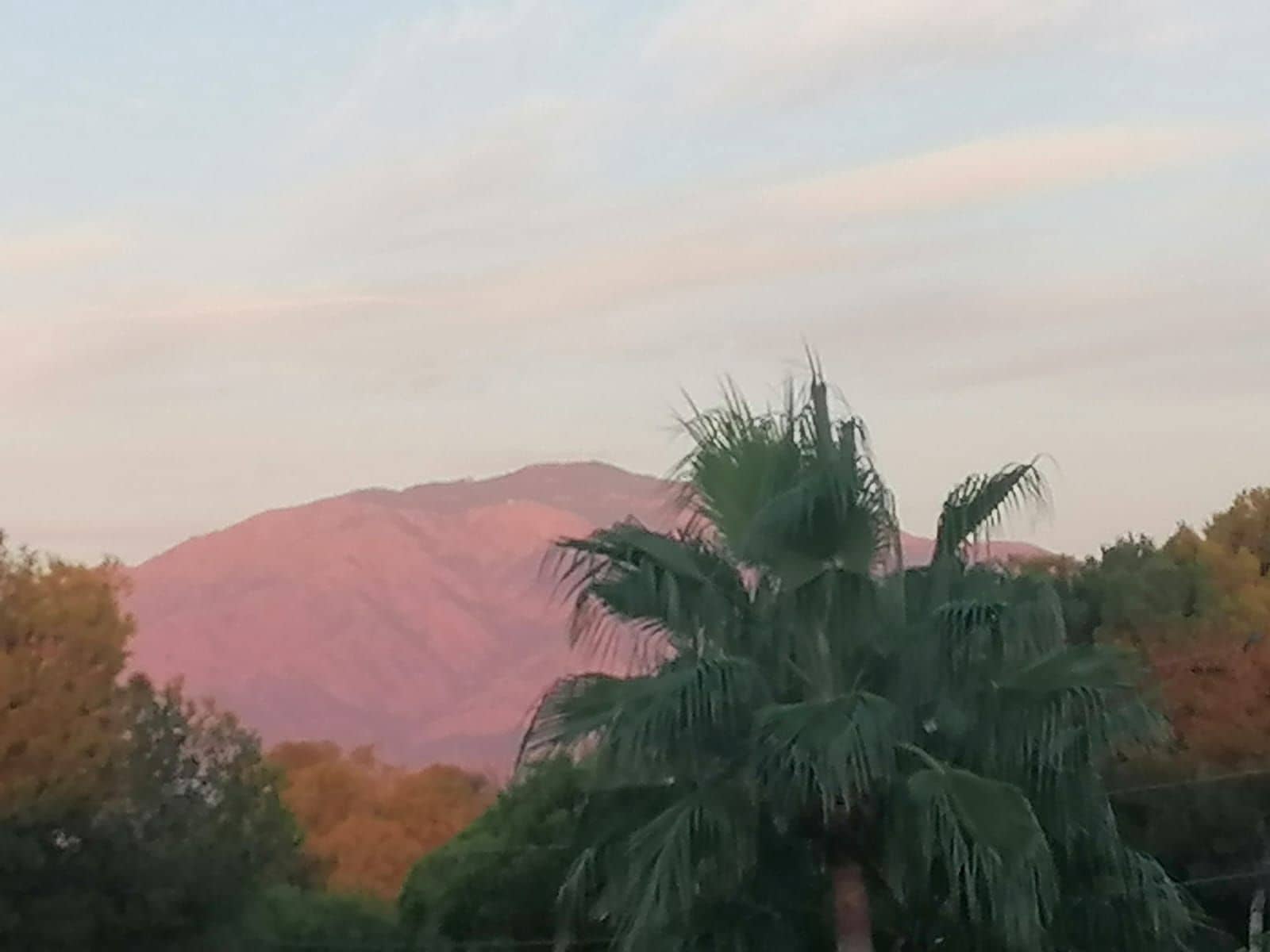 1 quarto Apartamento para venda em El Paraiso - 249 500 € (Ref: 9456718)