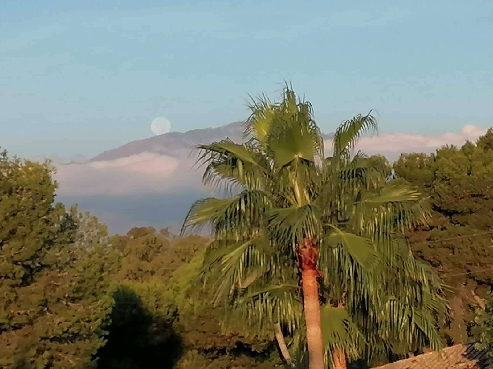 1 quarto Apartamento para venda em El Paraiso - 249 500 € (Ref: 9456718)