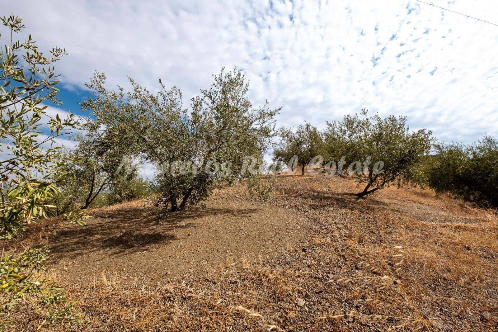 3 soveværelse Byhus til salg i Riogordo med swimmingpool - € 650.000 (Ref: 5974818)