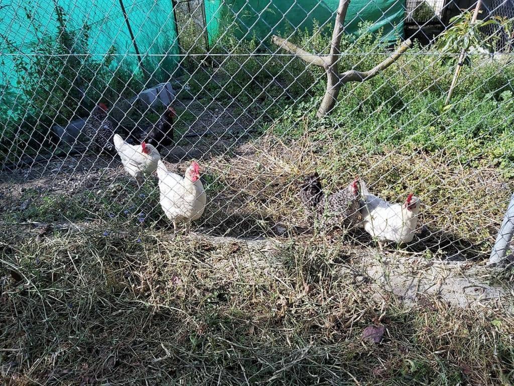 4 camera da letto Finca/Casa di Campagna in vendita in Nerja con piscina - 650.000 € (Rif: 7957279)