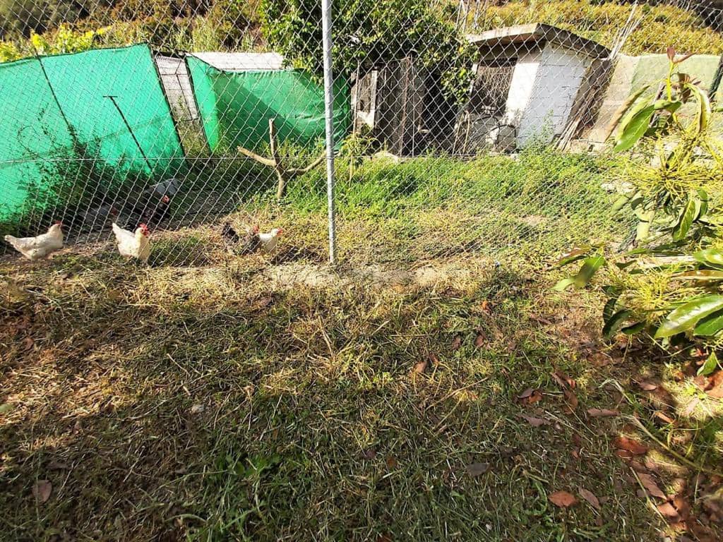 4 camera da letto Finca/Casa di Campagna in vendita in Nerja con piscina - 650.000 € (Rif: 7957279)