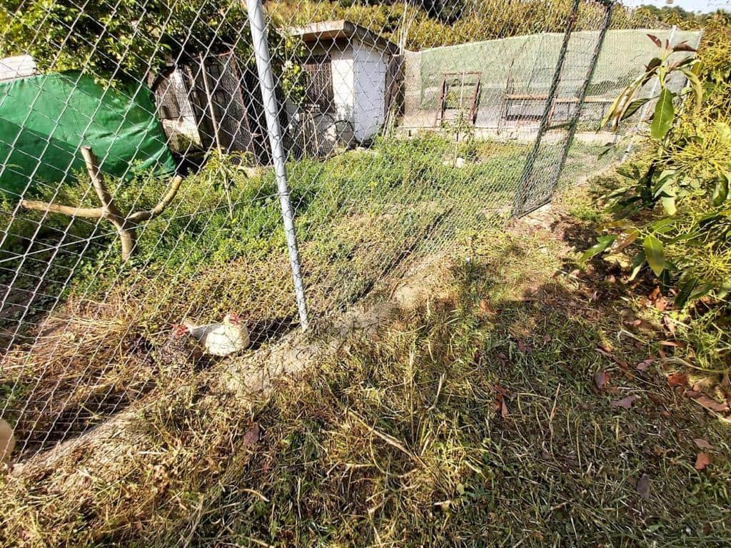 4 camera da letto Finca/Casa di Campagna in vendita in Nerja con piscina - 650.000 € (Rif: 7957279)