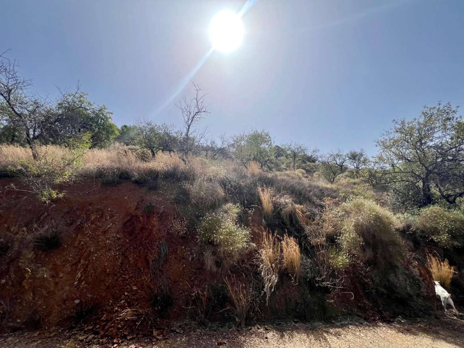 Finca/Landhuis te koop in Sedella - € 40.000 (Ref: 8438448)