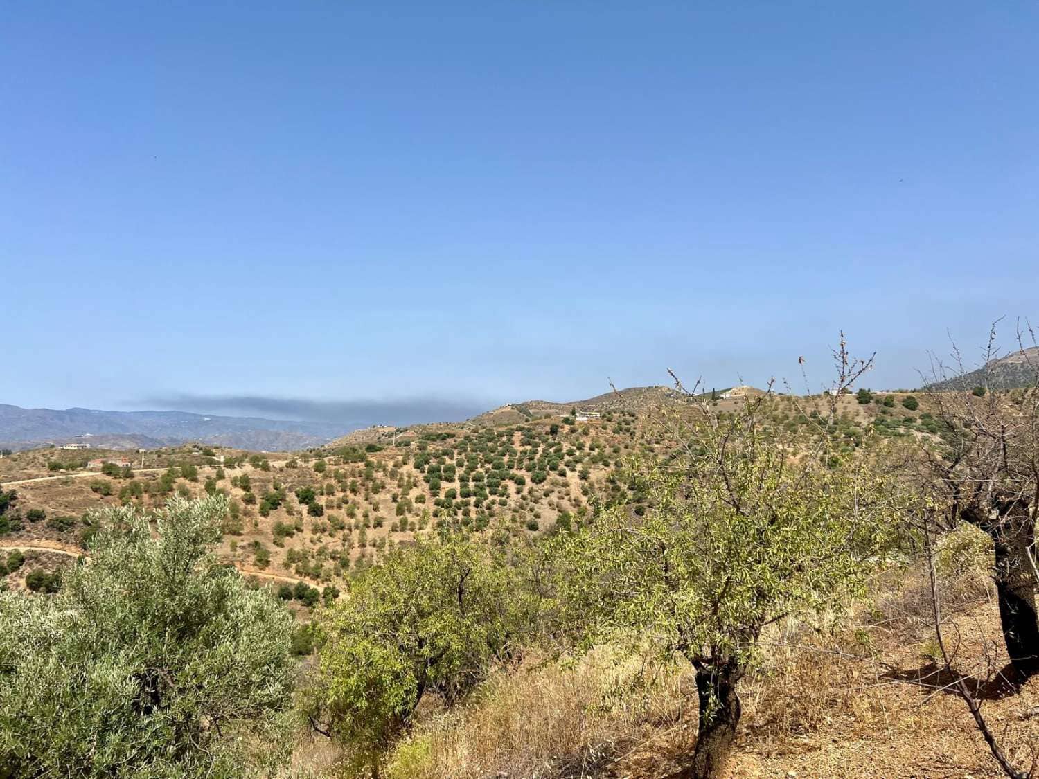 Finca/Landhuis te koop in Sedella - € 40.000 (Ref: 8438448)