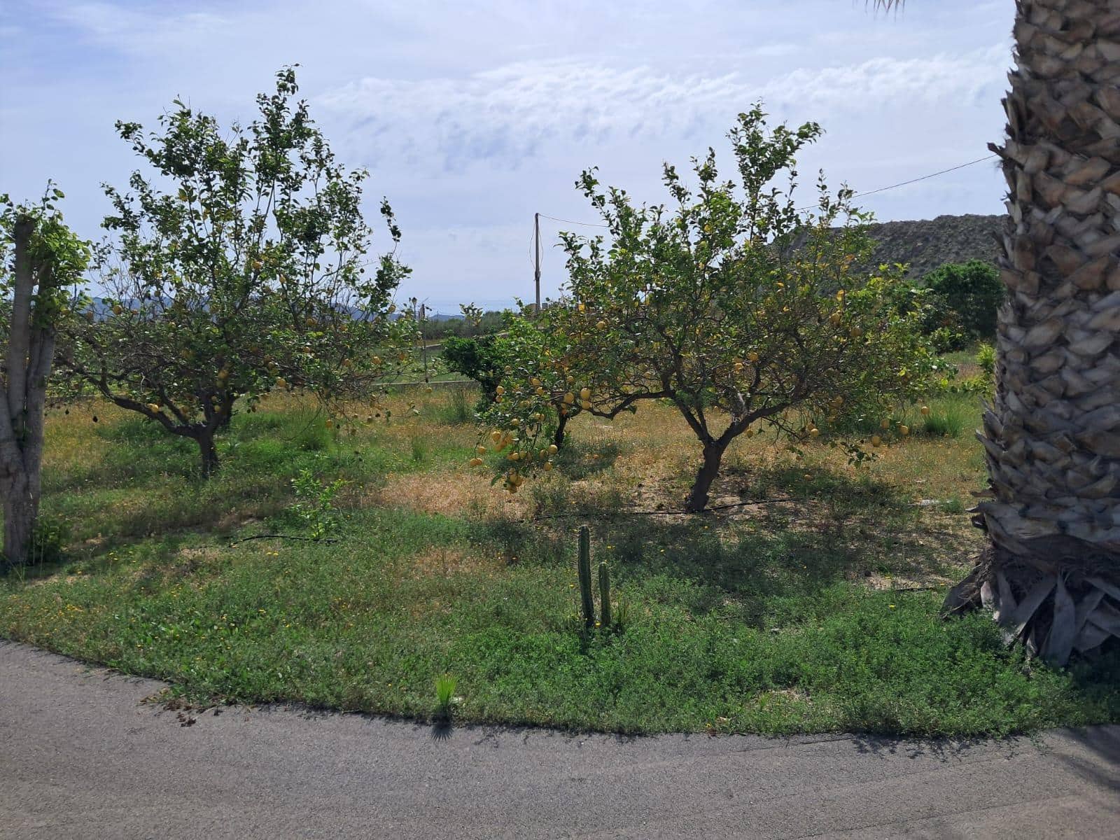 2 soveværelse Finca/Landehus til salg i Cuevas del Almanzora med garage - € 159.000 (Ref: 8972152)