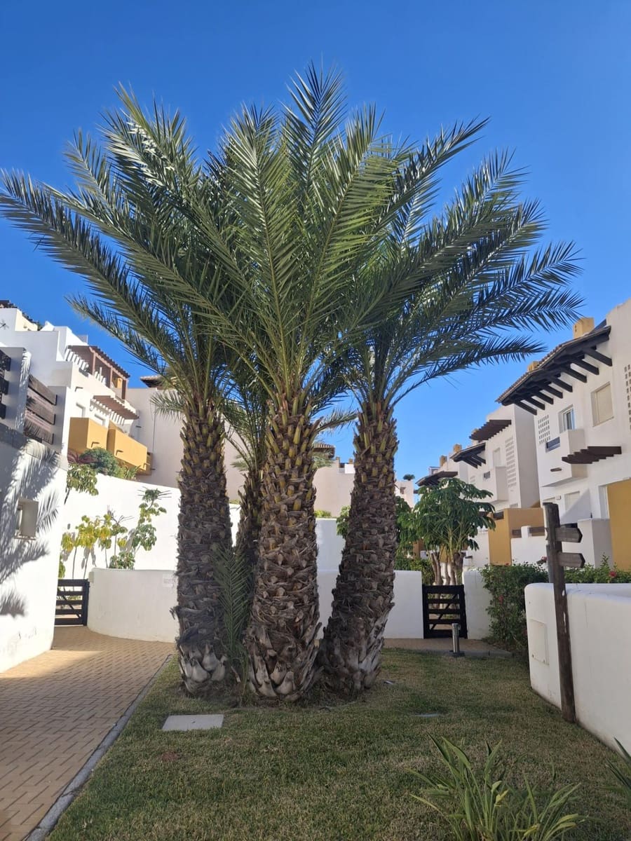 2 bedroom Penthouse for sale in Vera with pool garage - € 177,000 (Ref: 9151834)