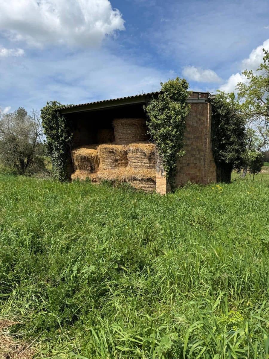Finca/Landehus til salg i Aiguaviva - € 330.000 (Ref: 9876786)