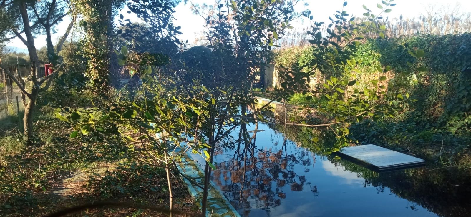 5 bedroom Business for sale in Peralada - € 1,850,000 (Ref: 9876797)