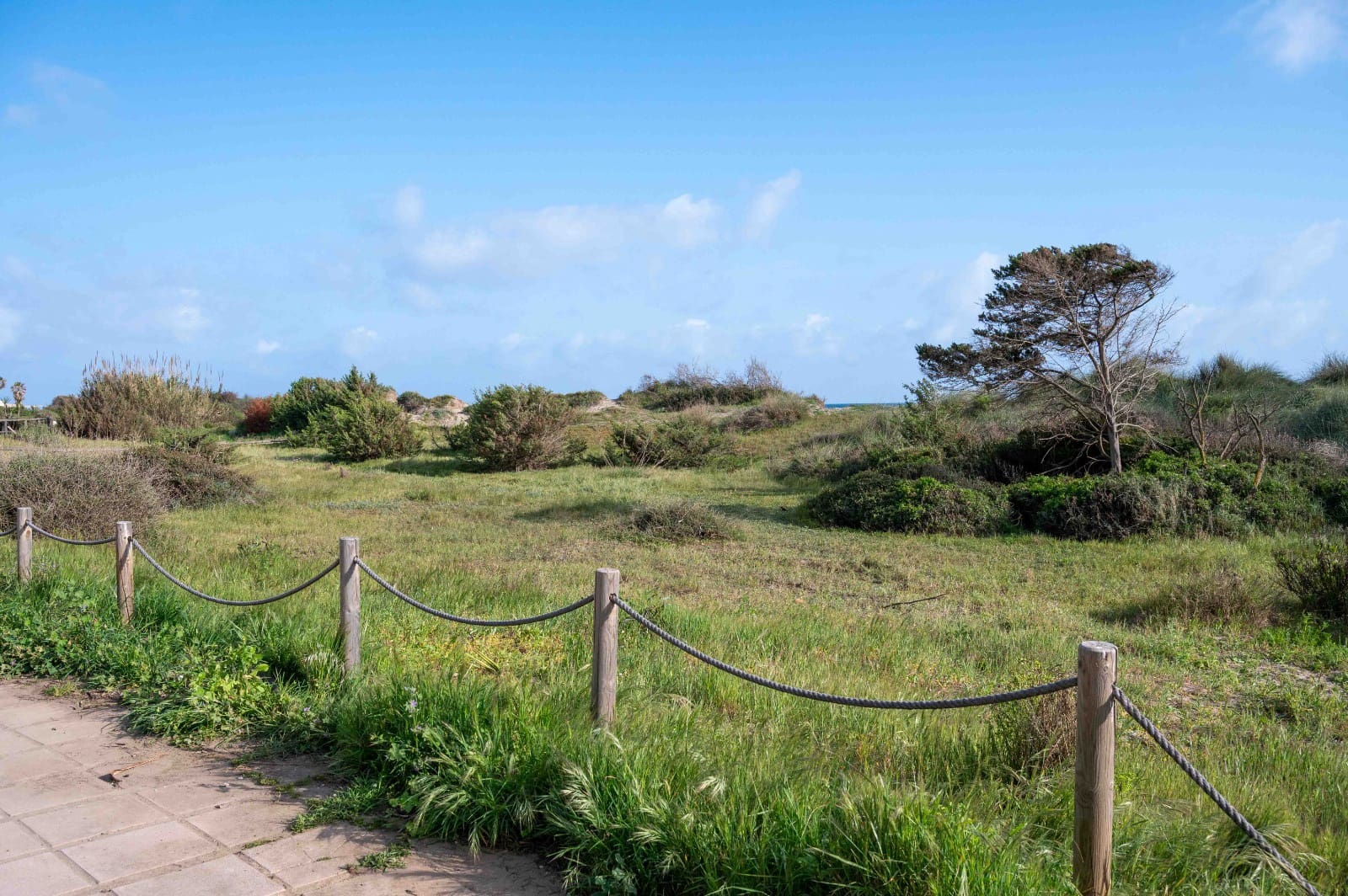 2 slaapkamer Strandappartement te koop in Elviria met zwembad - € 829.000 (Ref: 9500595)