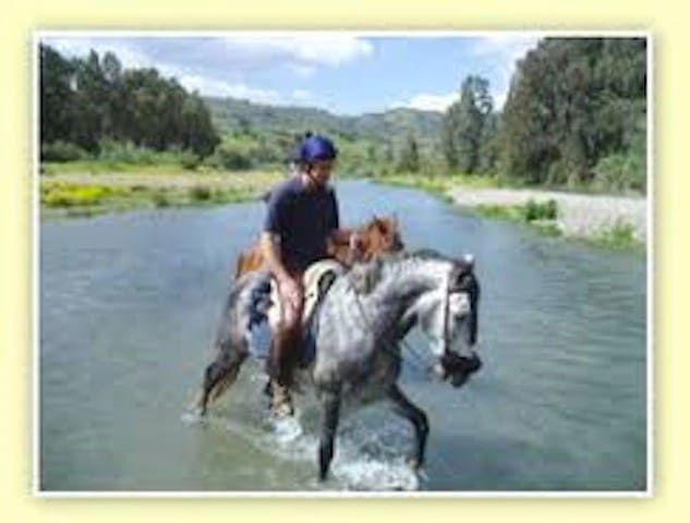 6 soveværelse Villa til salg i Coin - € 1.900.000 (Ref: 3123057)