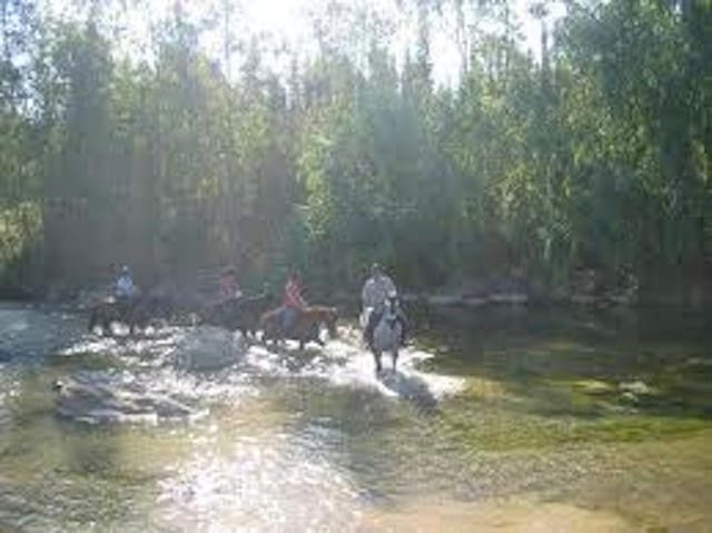 6 bedroom Villa for sale in Coin - € 1,900,000 (Ref: 3123057)