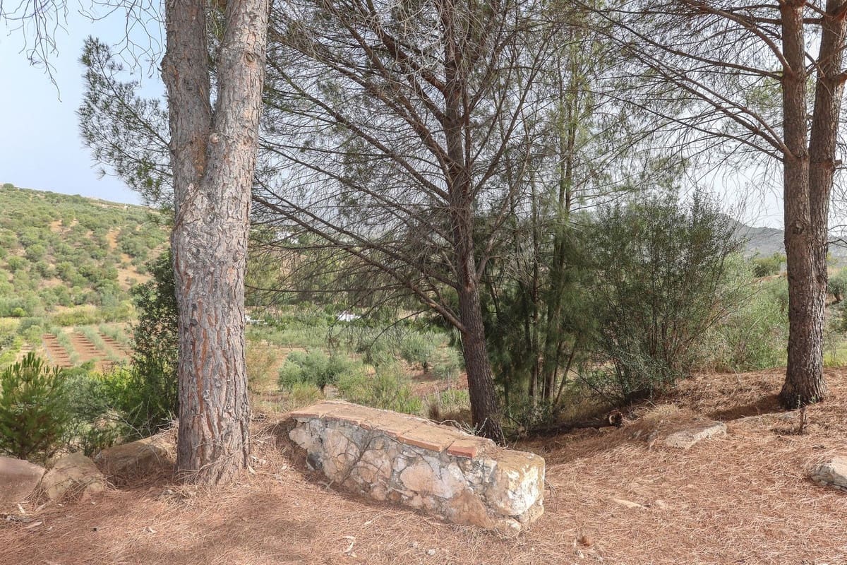 14 soveværelse Hotel til salg i Guaro med swimmingpool garage - € 780.000 (Ref: 3123089)