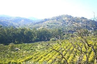 Local Comercial de 6 habitaciones en Coín en venta con garaje - 1.900.000 € (Ref: 3123114)