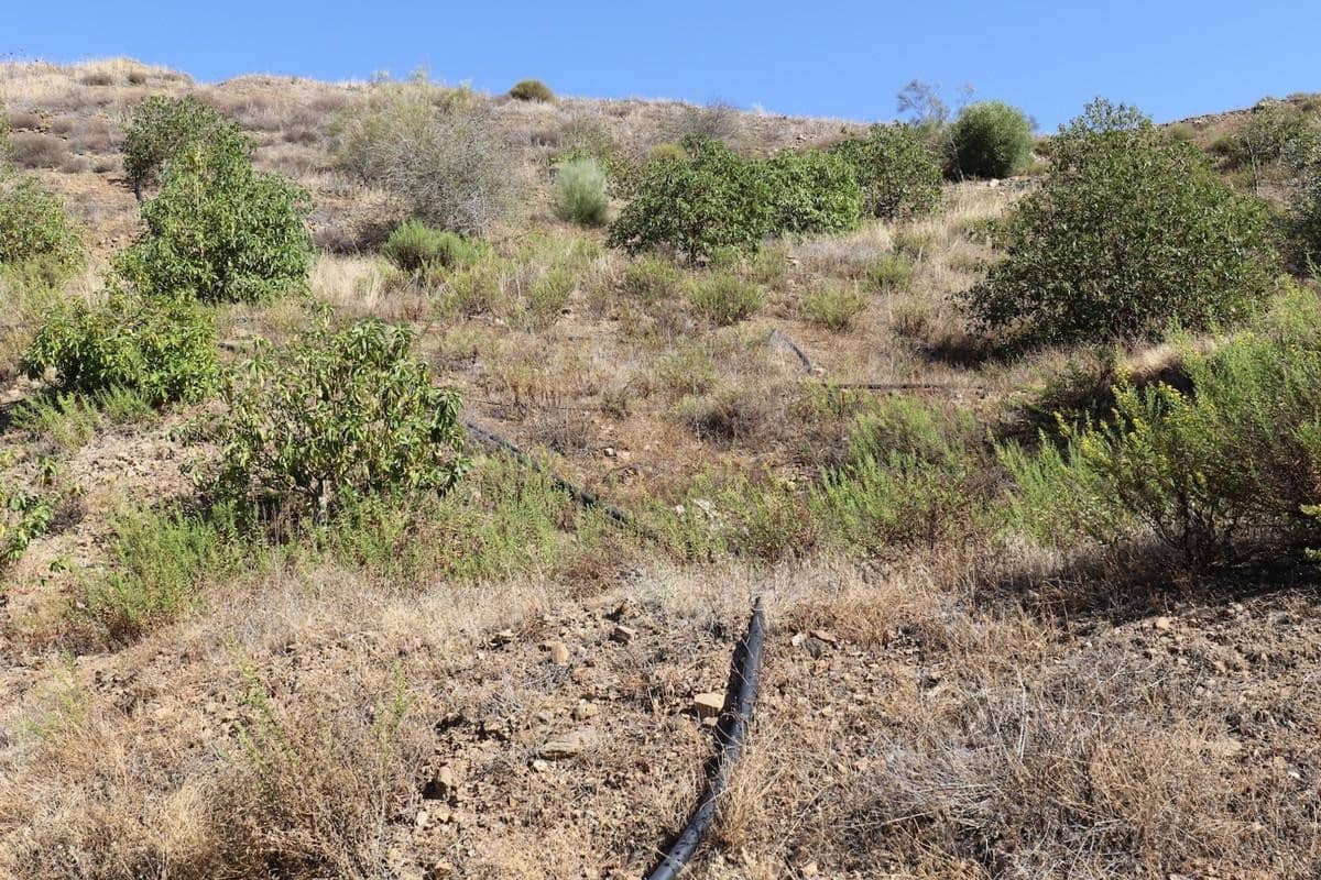 Terreno Não Urbanizado para venda em Alora - 200 000 € (Ref: 3208977)