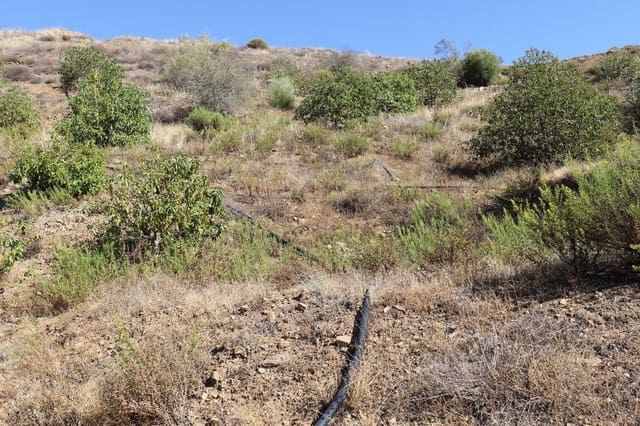 Ubebygd land til salgs i Alora - € 200 000 (Ref: 3208977)