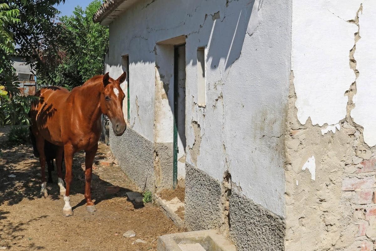Grunde uden byggetilladelser til salg i Coin - € 85.000 (Ref: 3531036)