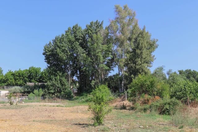 Terreno Não Urbanizado para venda em Coín - 85 000 € (Ref: 3531036)