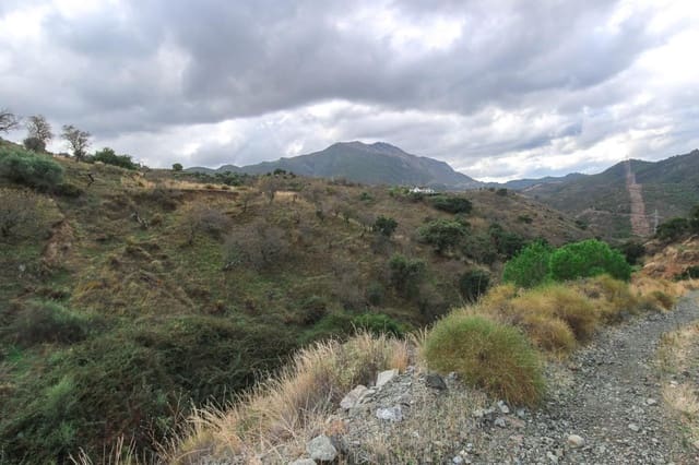 Undeveloped Land for sale in Monda - € 37,000 (Ref: 5803224)