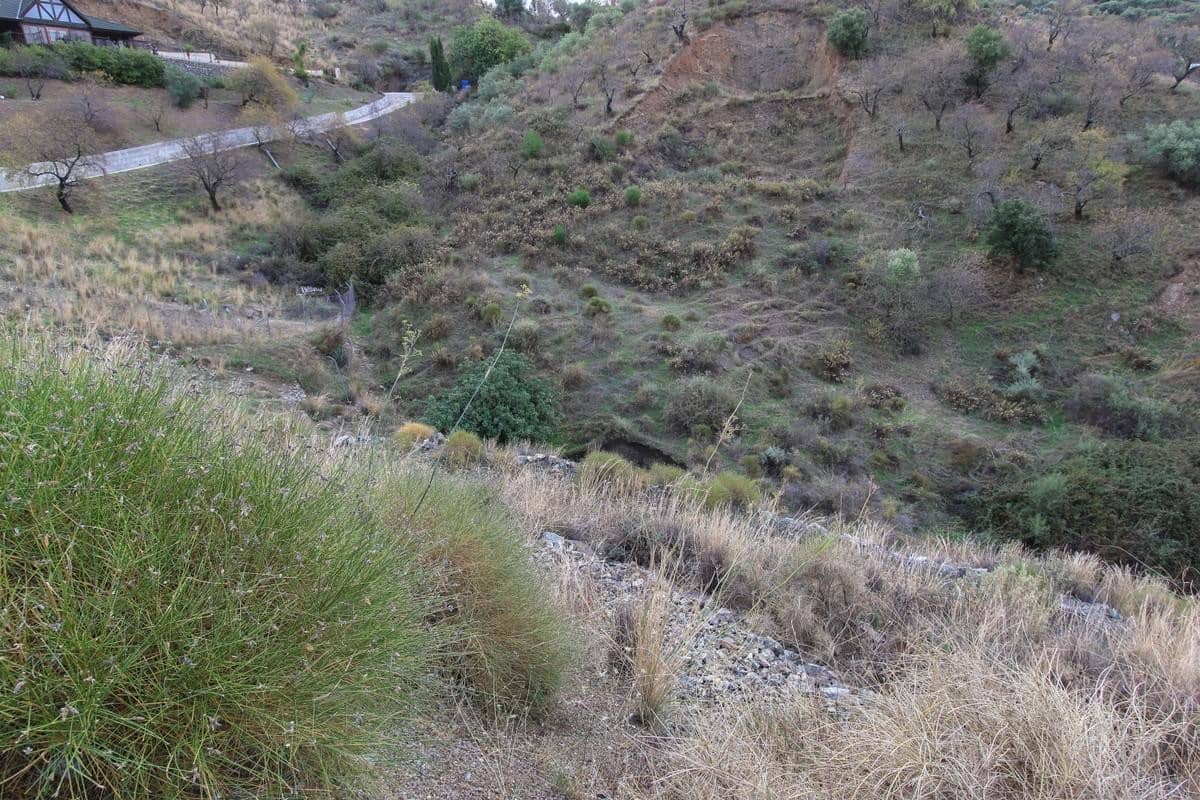 Undeveloped Land for sale in Monda - € 37,000 (Ref: 5803224)