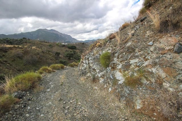 Undeveloped Land for sale in Monda - € 37,000 (Ref: 5803224)