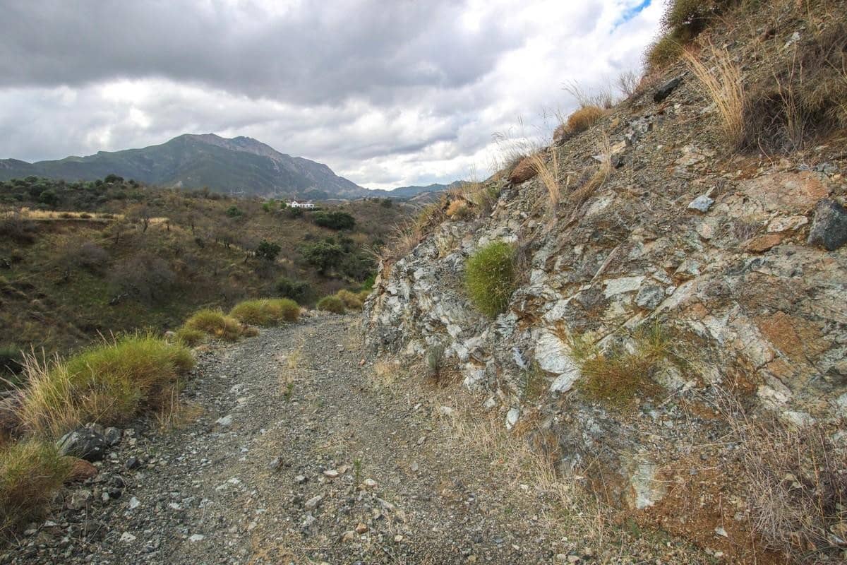 Undeveloped Land for sale in Monda - € 37,000 (Ref: 5803224)