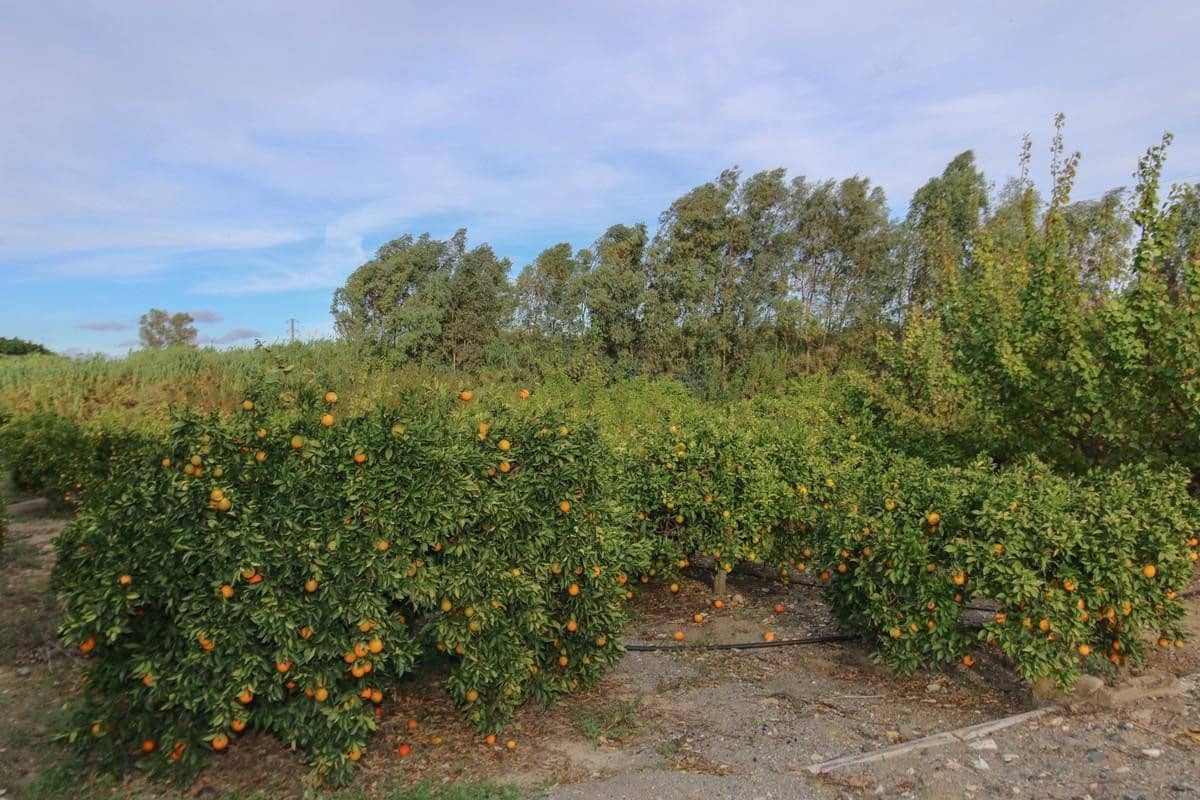 Terreno Não Urbanizado para venda em Coin - 850 000 € (Ref: 5926768)