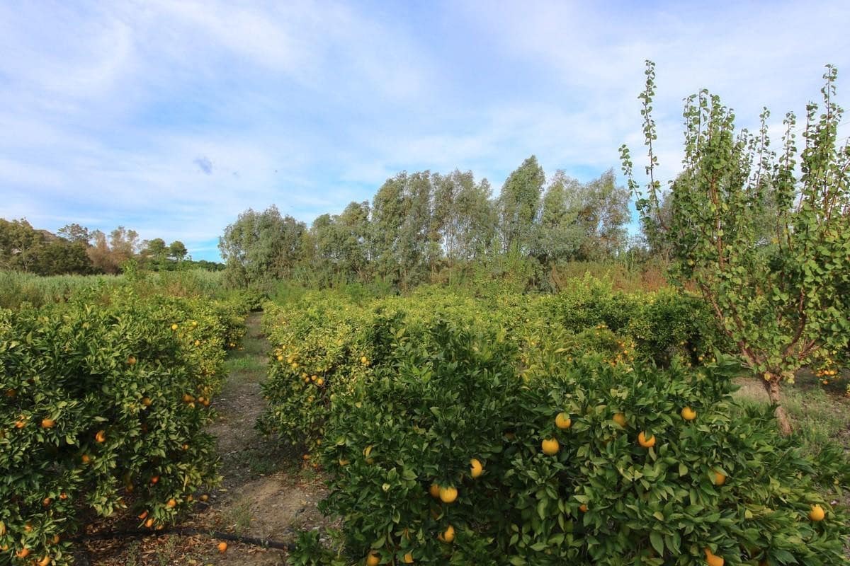 Terreno Não Urbanizado para venda em Coin - 850 000 € (Ref: 5926768)