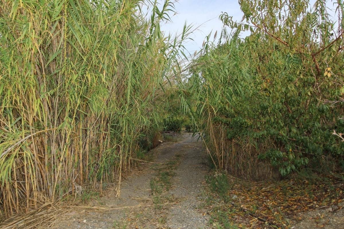 Terreno Não Urbanizado para venda em Coin - 850 000 € (Ref: 5926768)