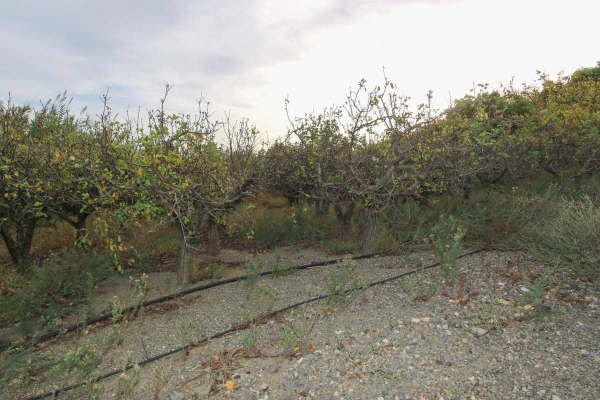 Grond te koop in Coin - € 850.000 (Ref: 5926768)