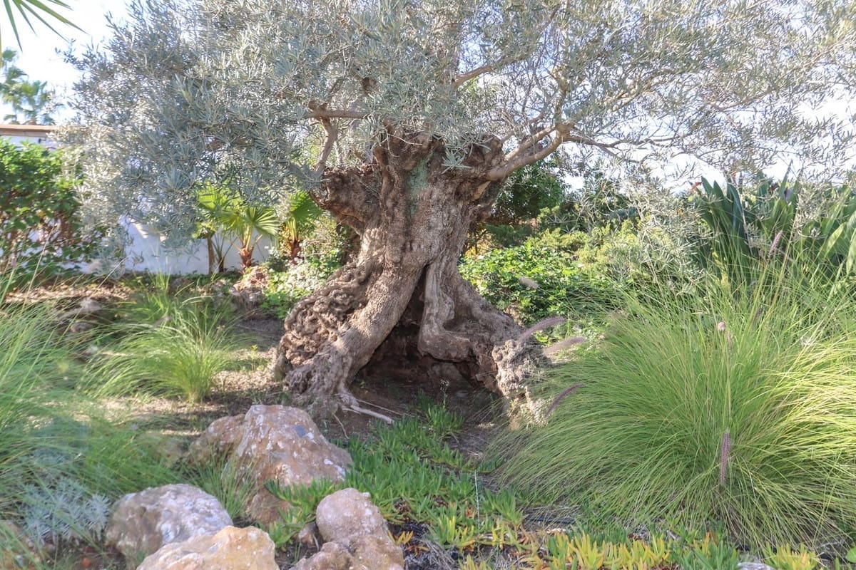 6 sypialnia Willa na sprzedaż w Alhaurin el Grande z basenem garażem - 1 445 000 € (Ref: 8790235)