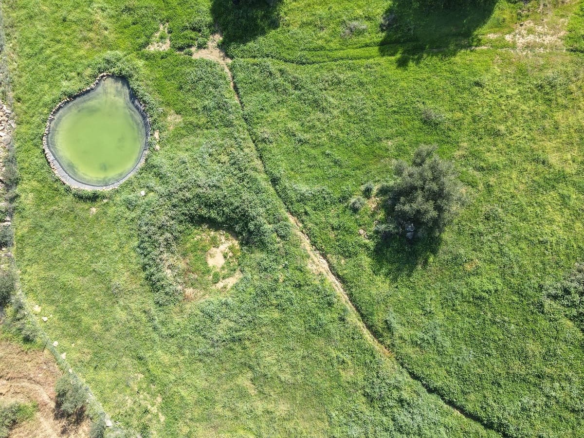 4 quarto Moradia para venda em Alozaina com piscina garagem - 690 000 € (Ref: 8820798)