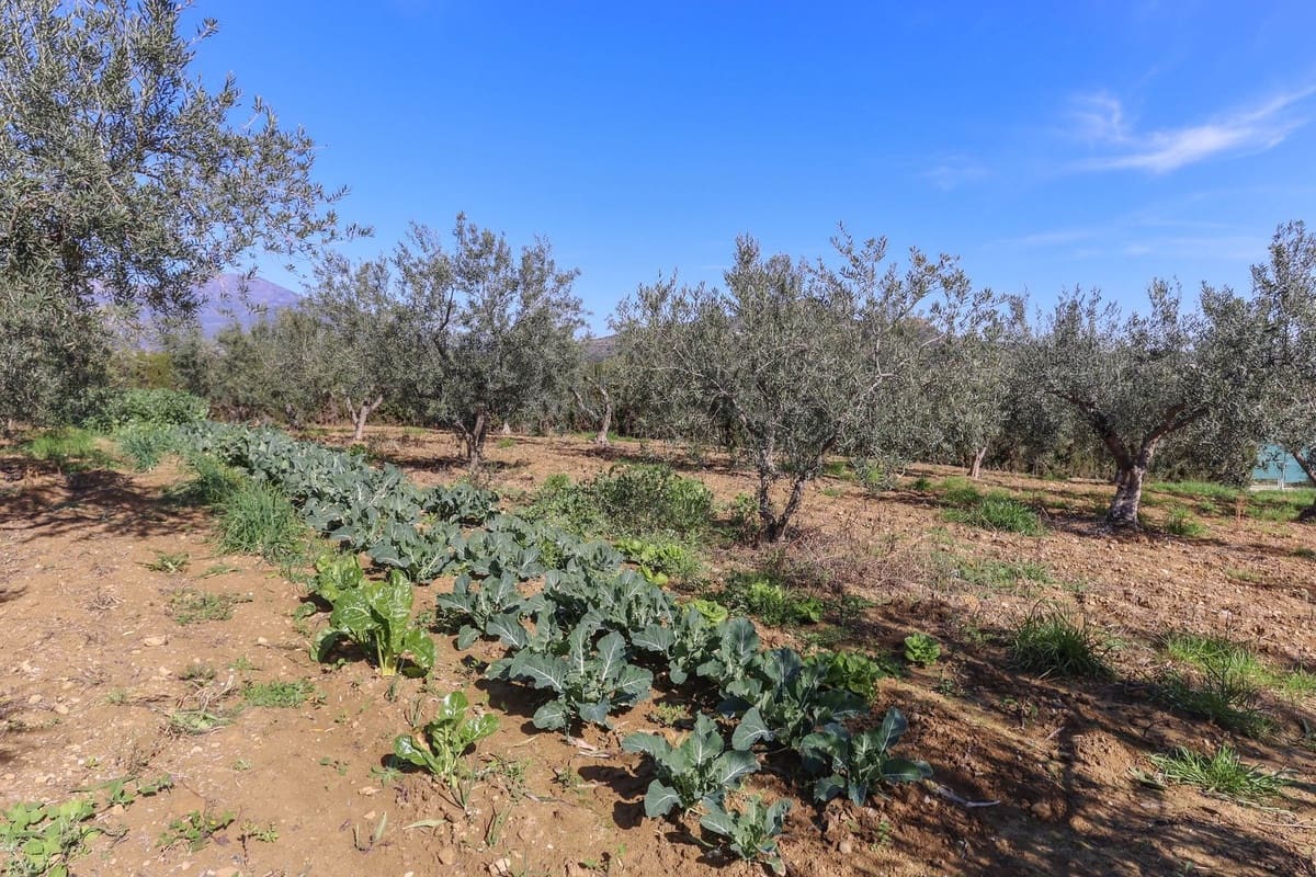 4 sypialnia Willa na sprzedaż w Guaro z garażem - 395 000 € (Ref: 8863435)